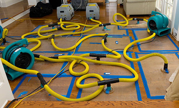 Professional Storm Water Damage Restoration technician working in Pleasanton, KS